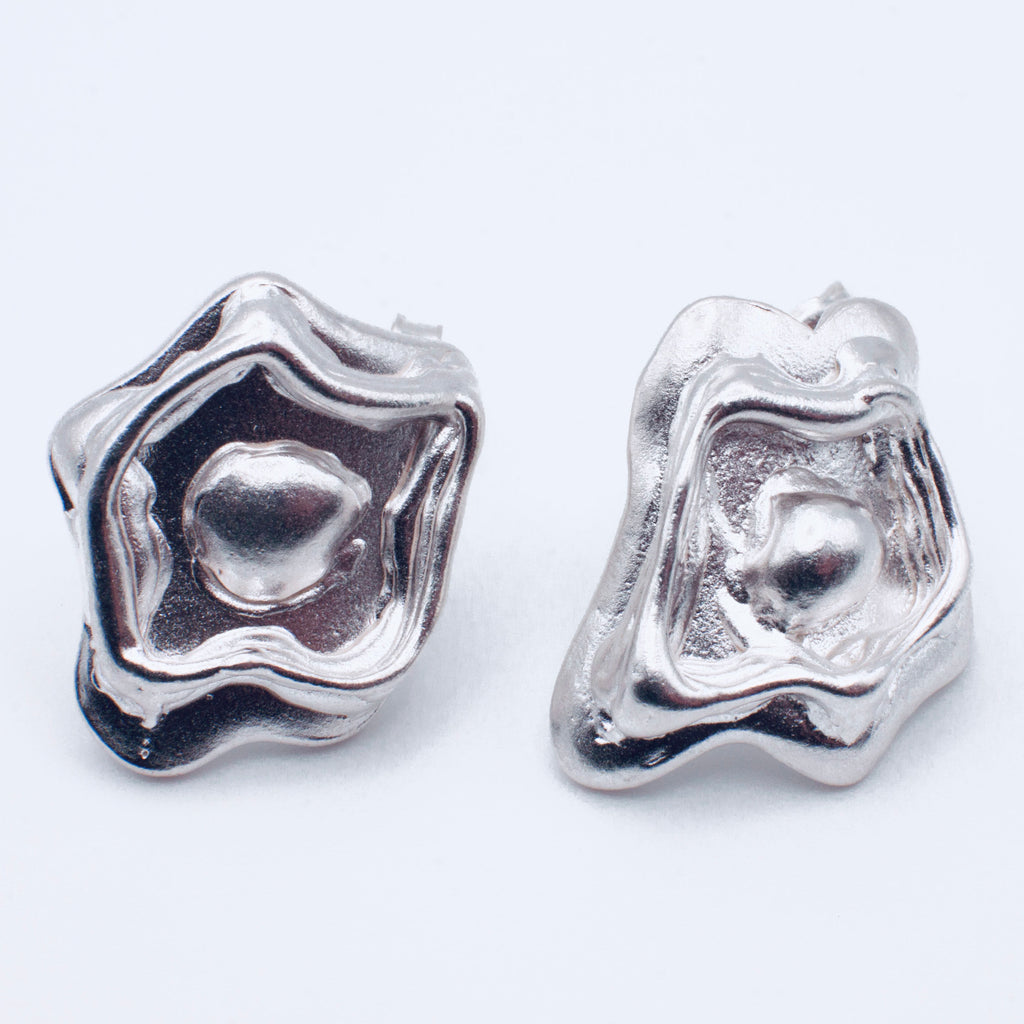 Pair of silver earrings on a white background