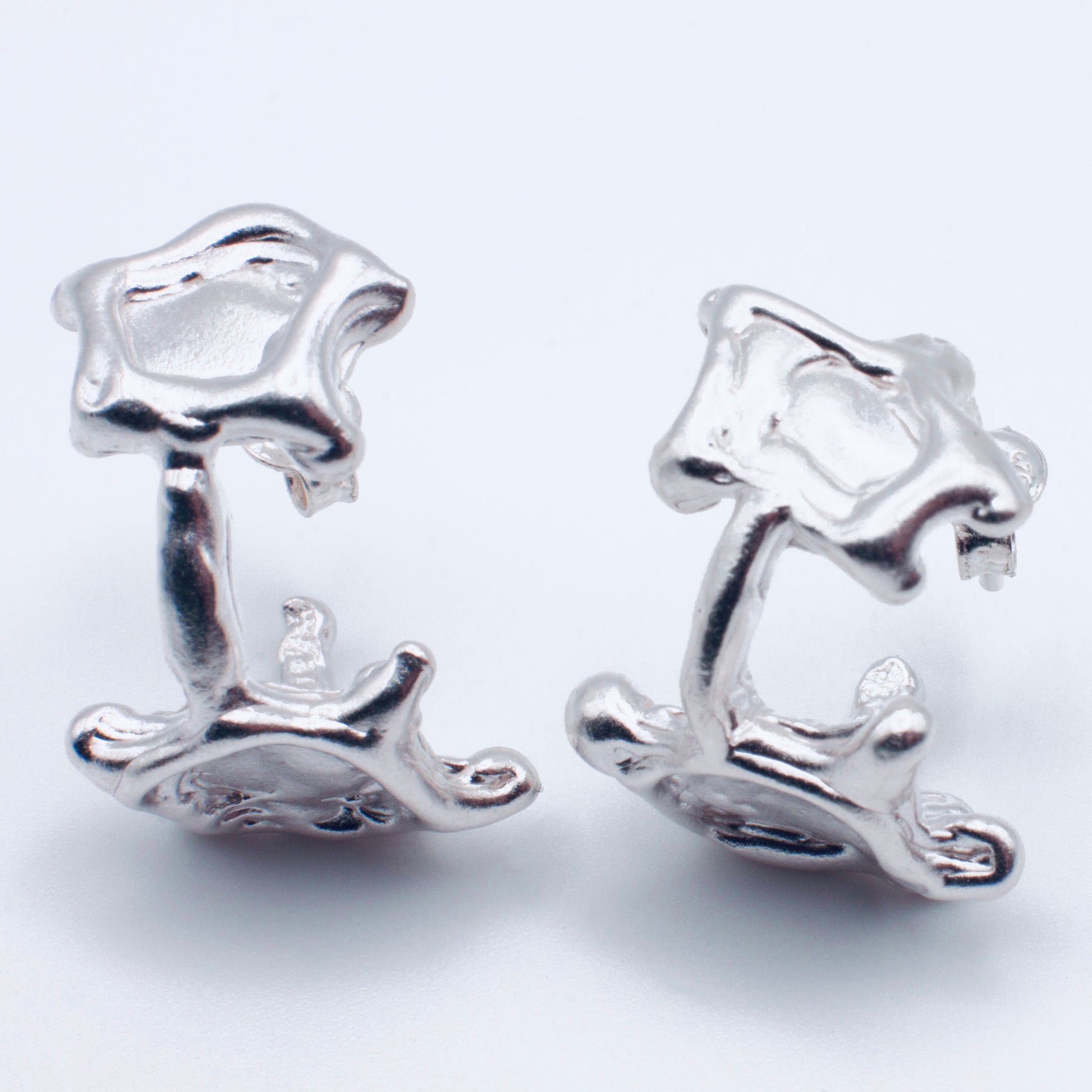 Pair of silver earrings on a white background